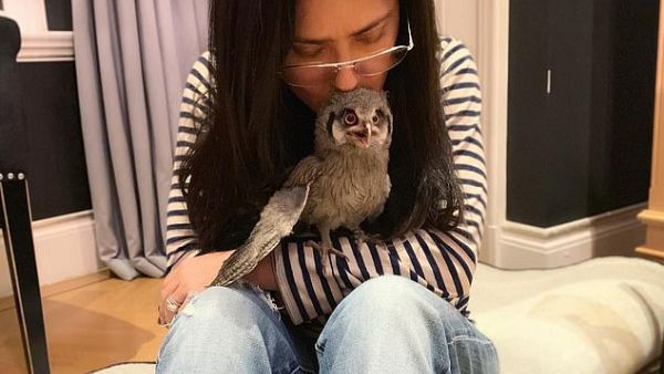 Salma Hayek and her new pet owl. (Salma Hayek/ Instagram)