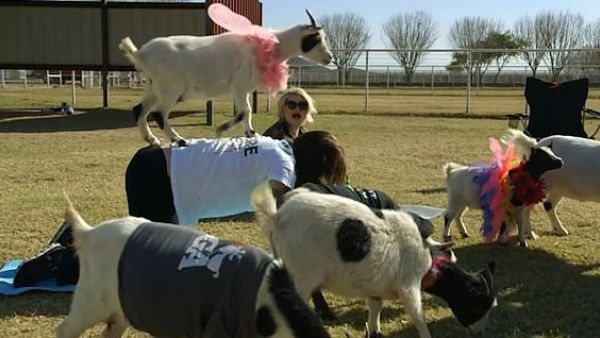 Kelly Osbourne took father Ozzy to try yoga but he wasn't impressed with his 'goat massage' (Facebook)
