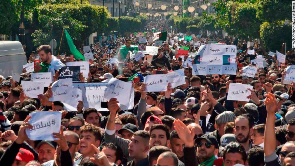 Algeria's mass protests (Twitter)