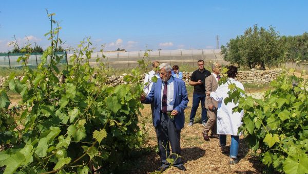 Palestinian Agriculture Minister Sufian Sultan (Twitter)