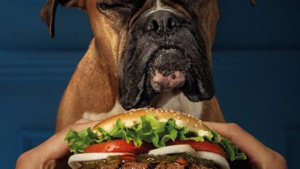 Burger King has created the 'Dogpper' (Twitter)