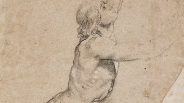 Drawing by Peter Paul Rubens (Twitter)