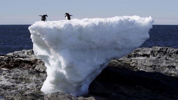 Greenland's ice (Twitter)