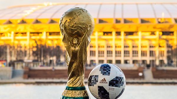 2022 World Cup (Shutterstock)