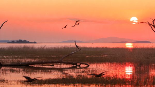 Panorama of a sunset over Lake Kariba, Zimbabwe (Shutterstock)