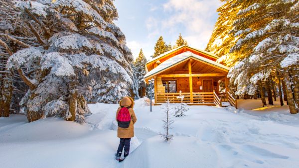 Beautiful winter landscape with snow covered trees (Shutterstock)