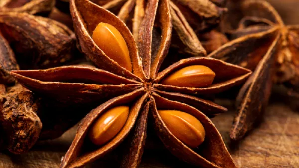 يساعد اليانسون على طرد السموم والفضلات من جسم الانسان