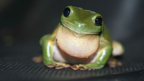 صورة تعبيرية 