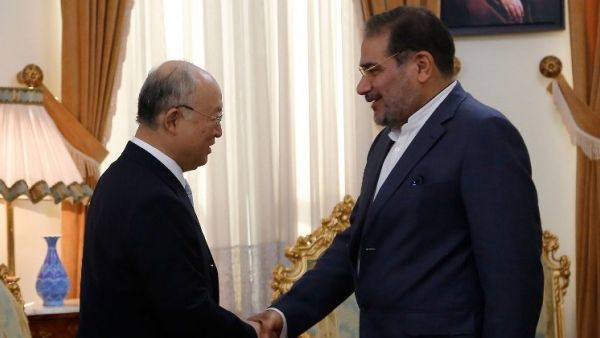 Iranian Secretary of the Supreme National Security Council, Ali Shamkhani, right, shakes hands with the head of the UN's atomic watchdog Yukiya Amano during a meeting in Tehran on July 02, 2015. (AFP/Atta Kenare)