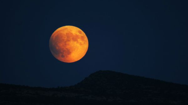 The Moon will be 356,509 km closer to Earth, the closest it has been to Earth since 1948. (Shutterstock) The Moon will be 356,509 km closer to Earth, the closest it has been to Earth since 1948. (Shutterstock)