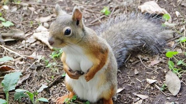 (boblim1204/ Twitter)