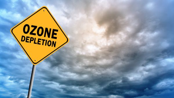 (Shutterstock/ File Photo)