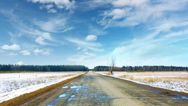 (Shutterstock/ File Photo)