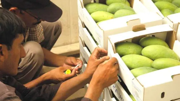 Imported goods from parties that have free trade agreements with Egypt such as the EU, the COMESA African grouping, the Arab region and Turkey would not by affected by the new decision.
