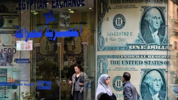 Egypt received $19.7 billion in remittances from its citizens working abroad in 2015, says Fattouh. (AFP/Khaled Desouki)
