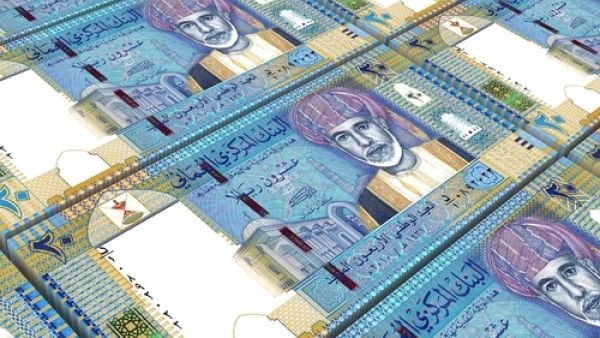 Fitch said that the government is planning to meet two-thirds of its financing need through external debt issuance, and the remainder through reserve draw-downs. (File photo)