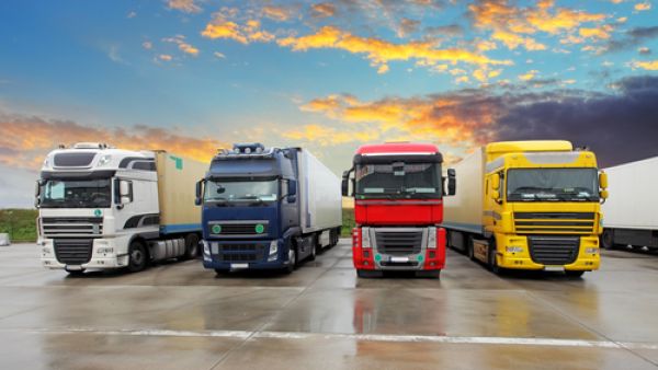 The transport committee chairman claims the sector is rejected by Saudis because of the difficulty of the work. (Shutterstock)