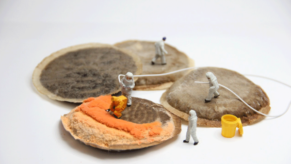 Gulf states are looking to new ways of putting food on the table. (Pixabay)