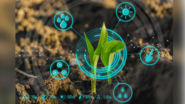 The announcement aims to drive the development of the AgTech ecosystem. (Shutterstock)