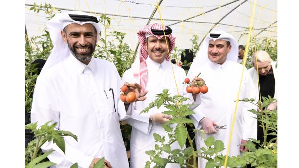 الدكتور جاويد شيخ عميد وايل كورنيل للطب – قطر والسيدة نسرين الرفاعي الرئيس التنفيذي للاتصال في وايل كورنيل للطب – قطر يستقبلان كبار الشخصيات من الهيئات الشريكة لحملة "صحتك أولاً"