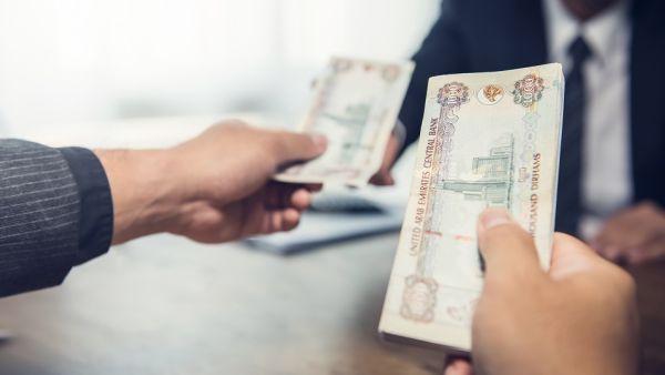The gesture is part of the UAE's wise leadership keenness to ensure decent life for all citizens. (Shutterstock)