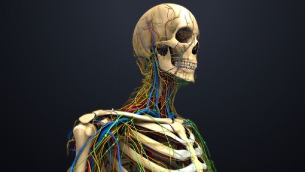 سرطان النخاع الشوكي من أكثر الأمراض المنتشرة من حولنا هو مرض السرطان