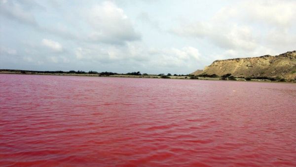 Lipar, a small lake which usually turns pink (Twitter)