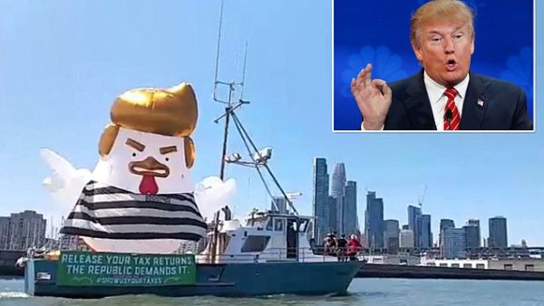 'President Chicken' (Twitter)