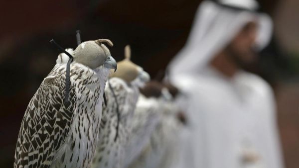 Hunting & Equestrian Exhibition (Twitter)