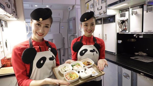 Newest plane dressed up for the “Panda Route (Twitter)