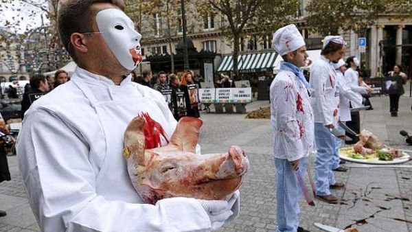  Radical vegans are attacking butcher shops in France (Twitter)