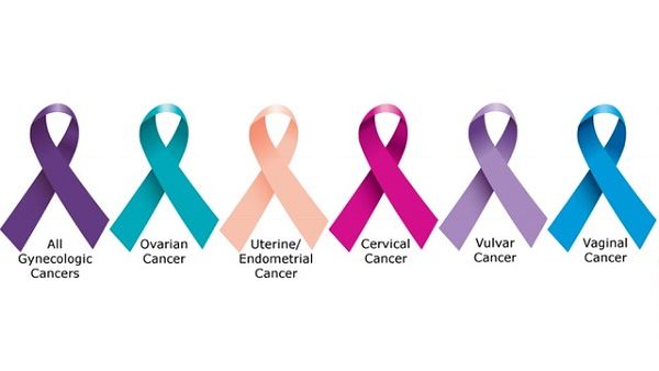 The 5 Gynecological Cancers The 5 Gynecological Cancers