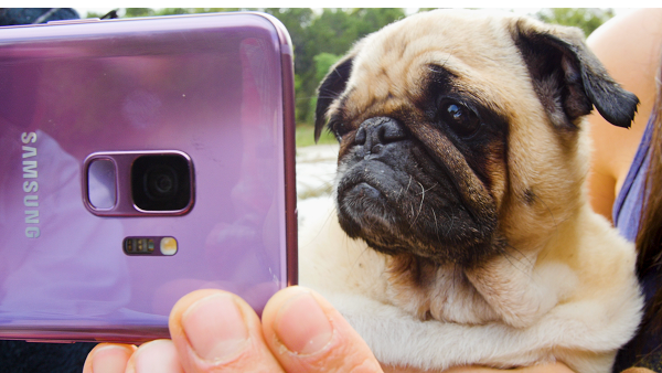 تتيح ميزة التصوير بالحركة البطيئة جداً Galaxy S9 و Galaxy S9+للمستخدمين تصوير مقاطع الفيديو بالحركة البطيئة جداً بنحو 960 إطاراً في الثانية الواحدة.