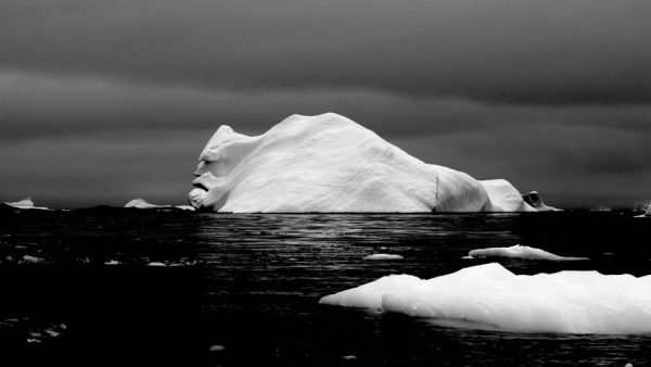 Antarctica (Twitter)