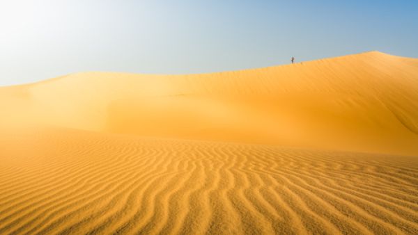 Ramlat Al Jadilah is situated in Al Rub Al Khali (The Empty Quarter), the largest sand desert in the world. (Shutterstock) Ramlat Al Jadilah is situated in Al Rub Al Khali (The Empty Quarter), the largest sand desert in the world. (Shutterstock)