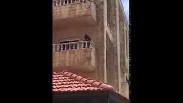 صورة ماخوذة من مقطع الفيديو