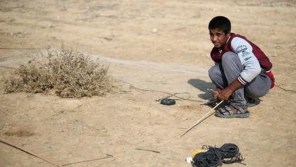 الفلسطيني حمزة أبو شلهوب يحاول اصطياد طيور مغردة في أطلال مطار غزة الدولي
