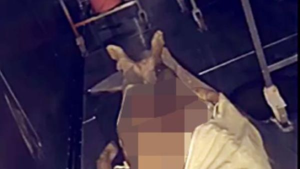 سعوديون يحتفلون برأس السنة بين جثث مشرحة في جدة