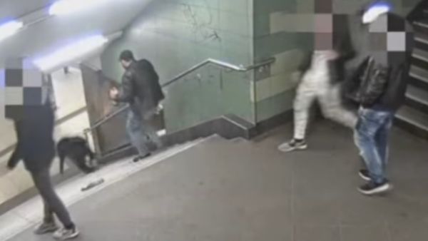 لقطة من الفيديو