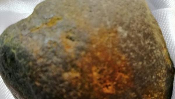 الصورة من موقع عمون