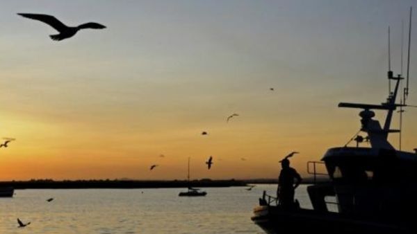 مرفأ ايسلا كريستينا في جنوب اسبانيا الذي تنطلق منه عدة سفن يسمح لها بالصيد قبالة المغرب
