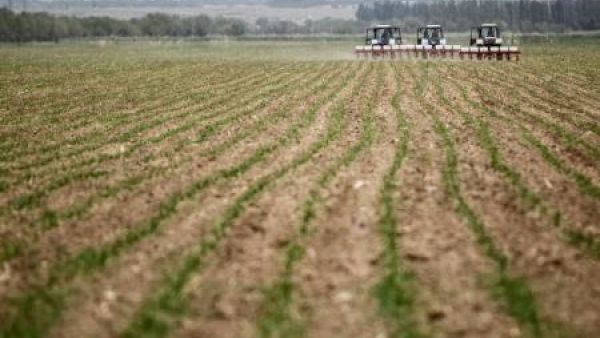 مزارعون في حقل في قازاخستان
