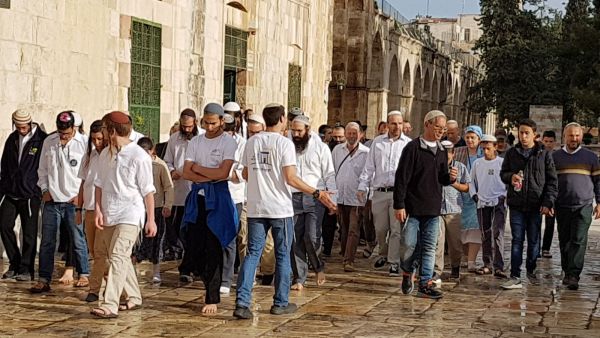 مستوطنون خلال جولة استفزازية في ساحات الحرم