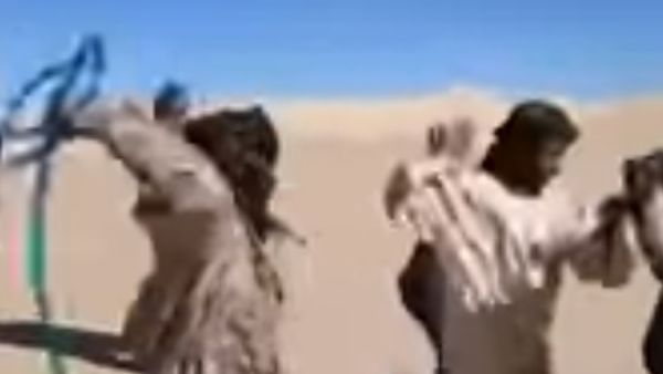 لقطة مأخوذة من الفيديو