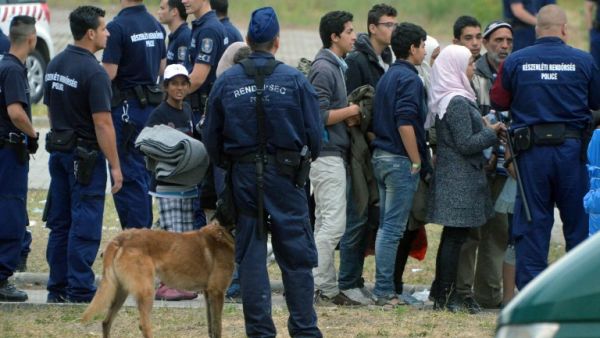This file photo taken on June 25, 2015 shows asylum-seekers waiting to board a bus at the Hungarian-Serbian border to transport them to a new refugee camp on June 25, 2015. (AFP/Csaba Segesvari) 
