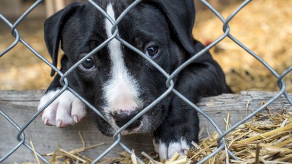 (Shutterstock/ File Photo)