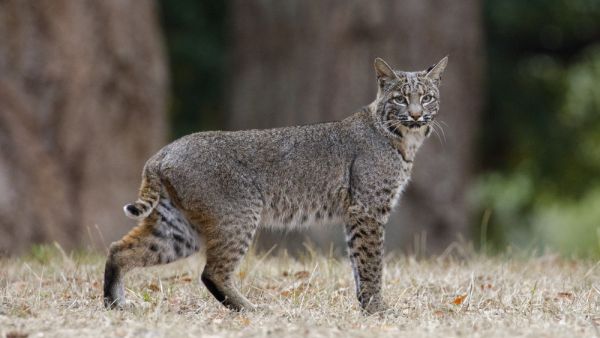 (Shutterstock/ File Photo)