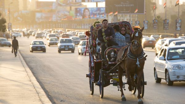 A family rides in a horse-drawn carriage on a busy road in Cairo, Egypt. (Shutterstock)