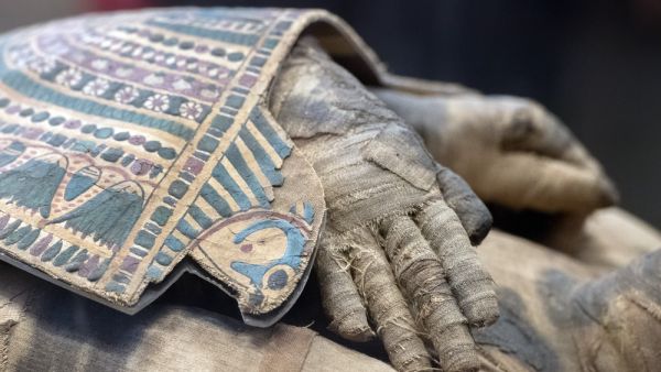 To date, the operation has returned more than 80 items to Egypt since 2007. (Shutterstock)