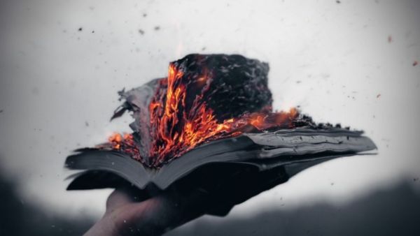 Protesters plan to burn books in what they call the 'absurd' sentencing of novelist Ahmed Naji.
